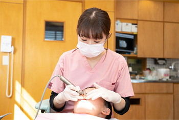 なぜ歯並びが悪くなってしまうのか